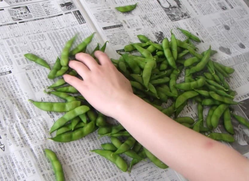 くろさき茶豆サンプル画像